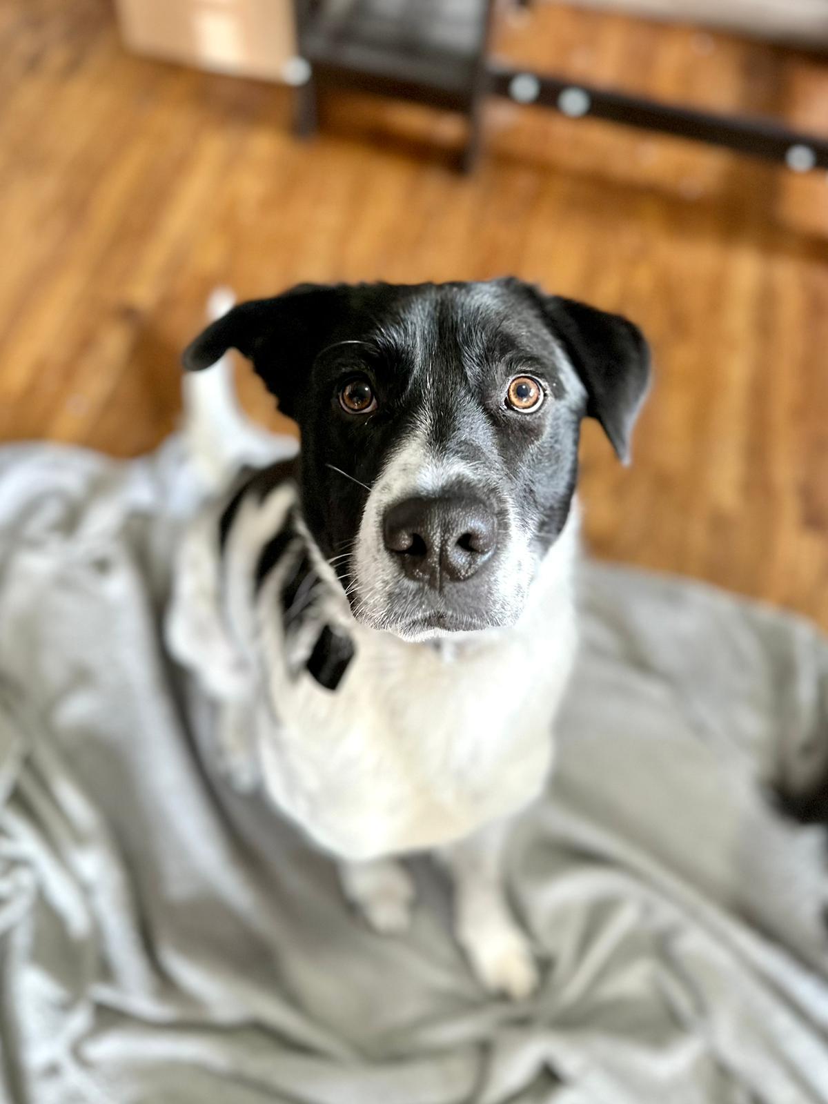 7-2-23 Jack Pic.jpeg