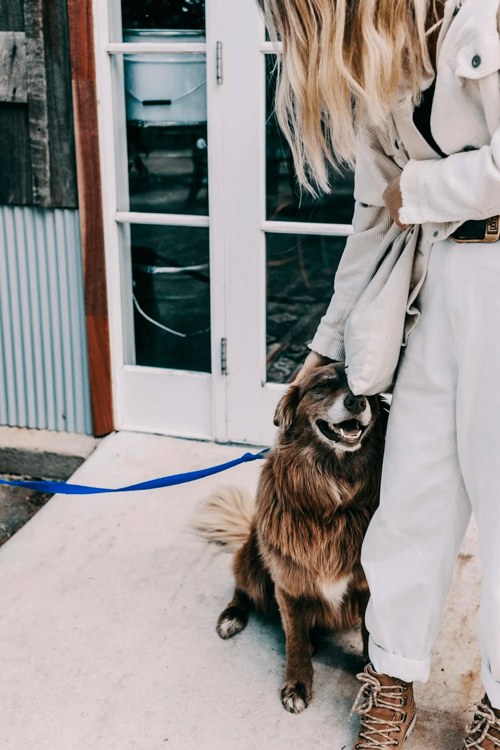 A dog sitting calmly on a loose leash beside their owner outside the front door