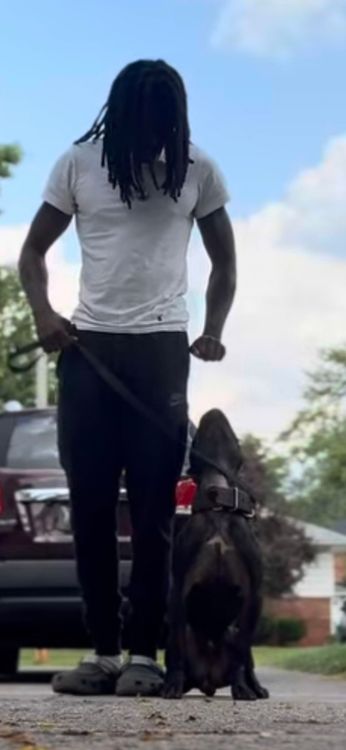Jordan, Dogwise Academy dog trainer