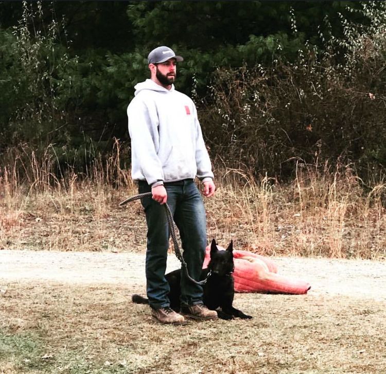 Mike, Dogwise Academy dog trainer