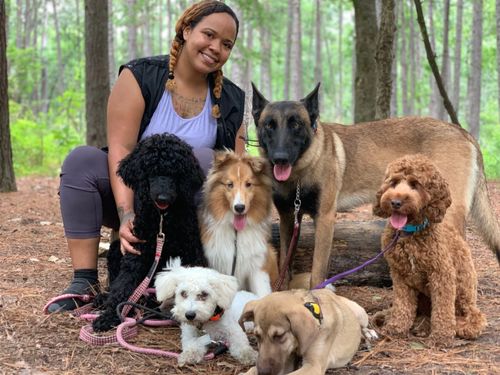 Cass, Dogwise Academy dog trainer