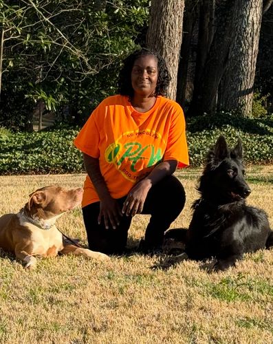 Opal, Dogwise Academy dog trainer